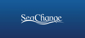 logo-design-inspiration-blue-sea-change