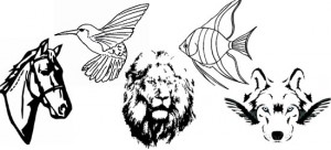 logo-design-wild-animal