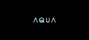 logo-design-type-based-aqua