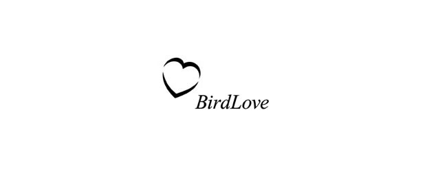 logo-design-love-bird