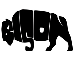 logo-design-clever-hidden-bison