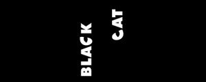 graphic-logo-design-inspiration-black-cat