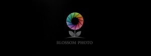 graphic-logo-flower-design-blossom-photo