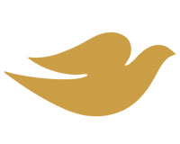 dove-logo-design