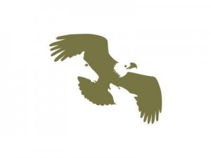 logo eagle mountain capital