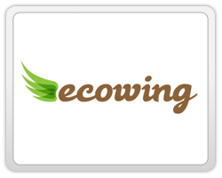 logo-design-action-showing-movement-ecowing