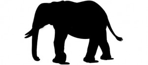 silhouette elefante