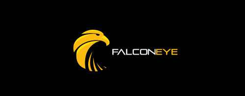falcon-eye-logo-design-simbolico-descrittivo