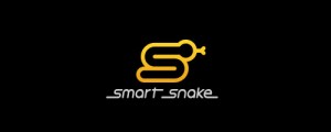 logo-design-inspiration-smart-snake