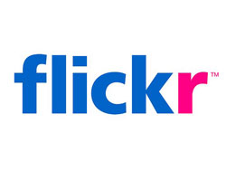 logo-design-trend-contrasting-color-flickr