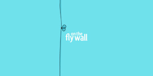 fly-on-the-wall-logo-design