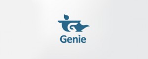 logo-design-hidden-messages-genie