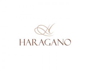 line-art-logo-design-haragano