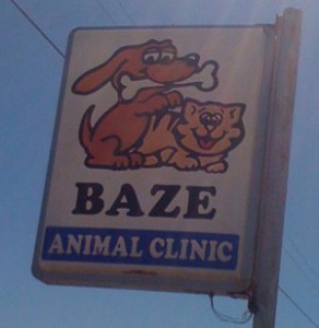 bad-logo-design-baze-animal