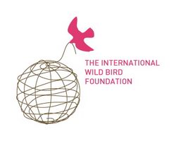 logo-design-animale-uccello-bird-foundation