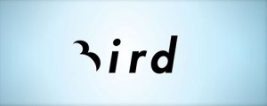 logo-design-inspiration-bird