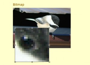 graphic-design-bitmap-picture-quality