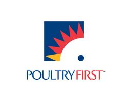 logo-design-animale-uccello-poultry-first