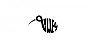logo-design-type-based-qiwey