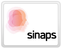 logo-design-action-showing-movement-sinaps