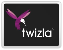 logo-design-action-showing-movement-twizla