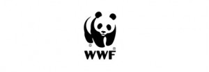 logo,wwf,design,simple